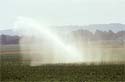 photo d'un systme d'irrigation